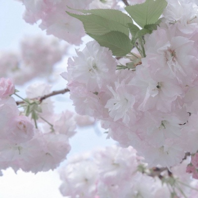 容城FurryQQ群介绍